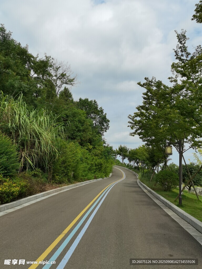 寬闊公路旁綠樹成蔭