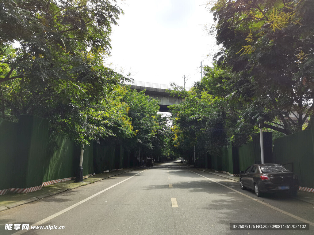 林蔭覆蓋的靜謐道路