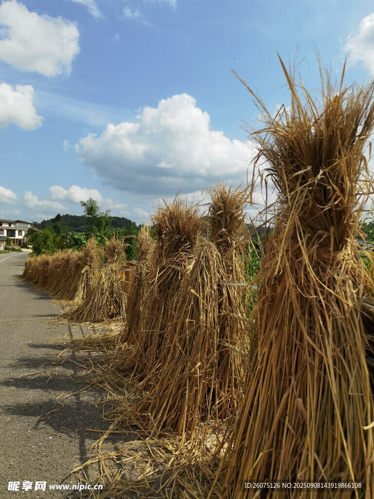 田間稻草堆鄉(xiāng)村田園景