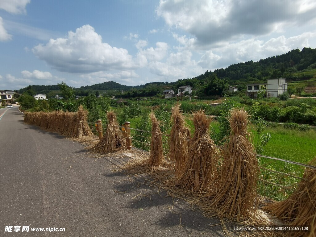鄉(xiāng)村路邊的稻草堆風景