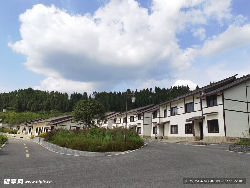 鄉(xiāng)村整齊排列的房屋建筑