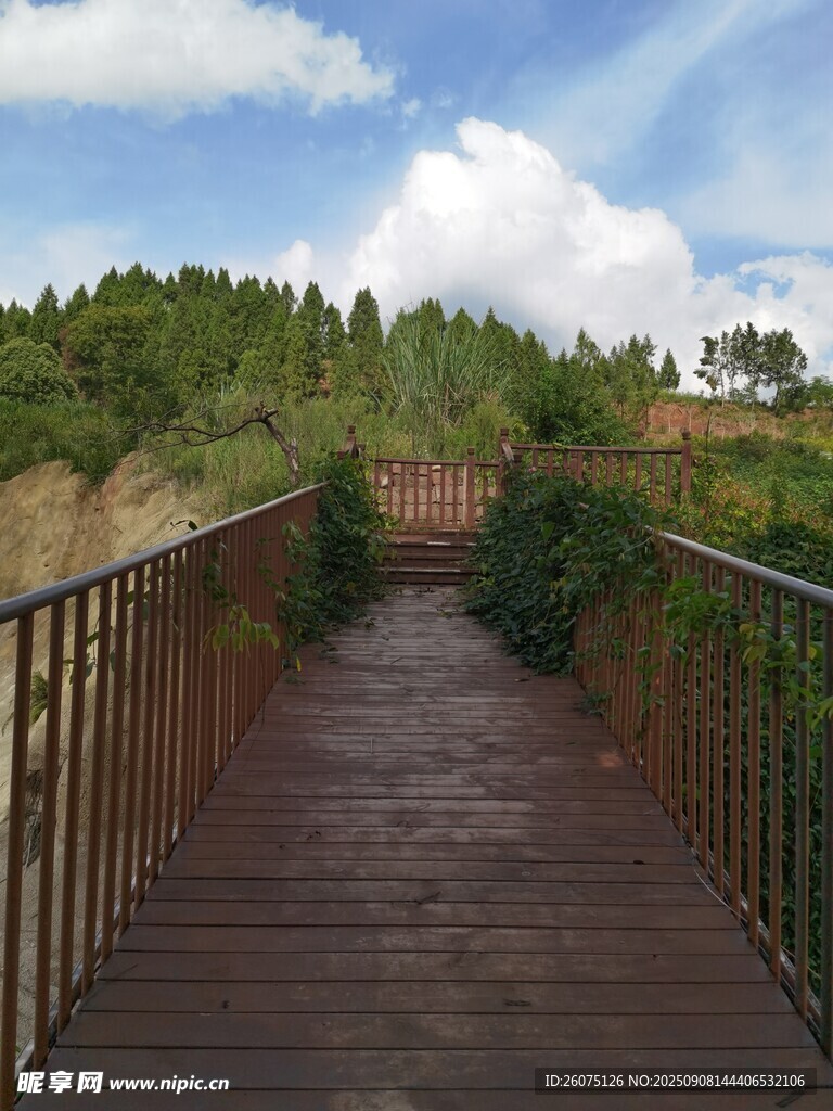 木質(zhì)棧道通向蔥郁山林