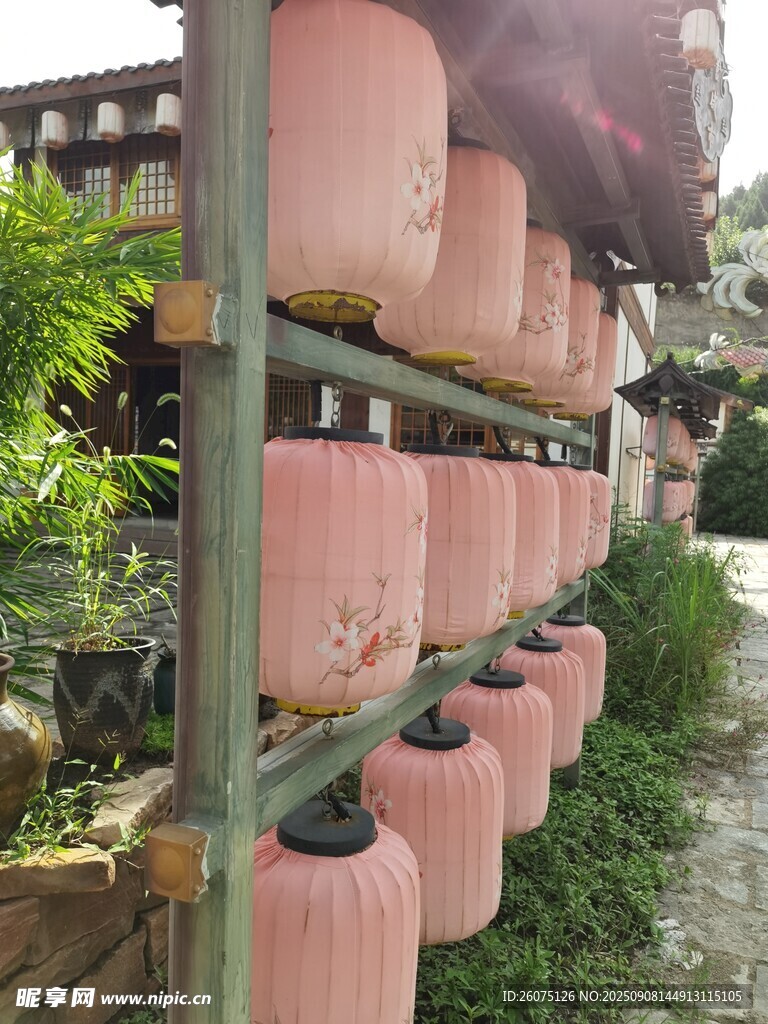戶外懸掛的粉色燈籠組