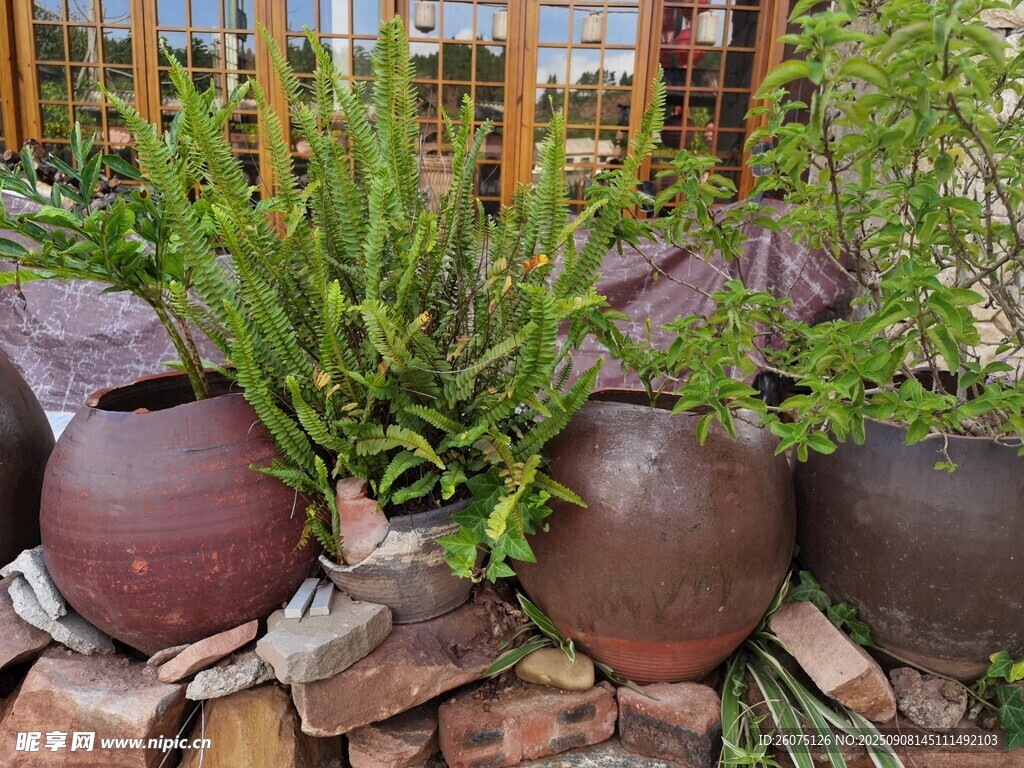 陶制花盆與綠植堆疊景觀