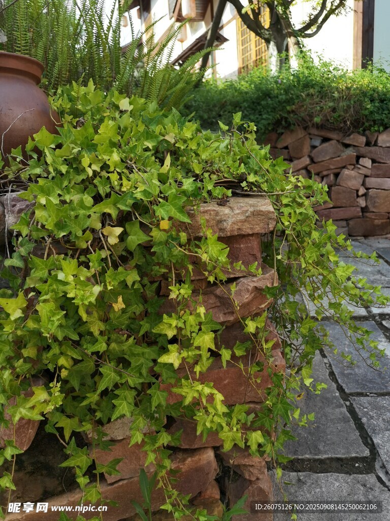 庭院綠植磚墻景致