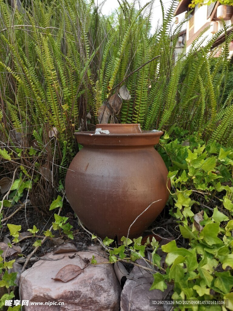陶制花盆置于綠植石塊間
