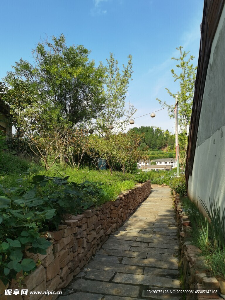 鄉(xiāng)村小徑綠植環(huán)繞的寧靜處