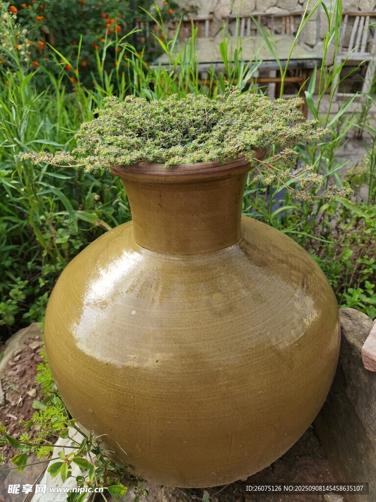 陶制花盆綠植點綴生機