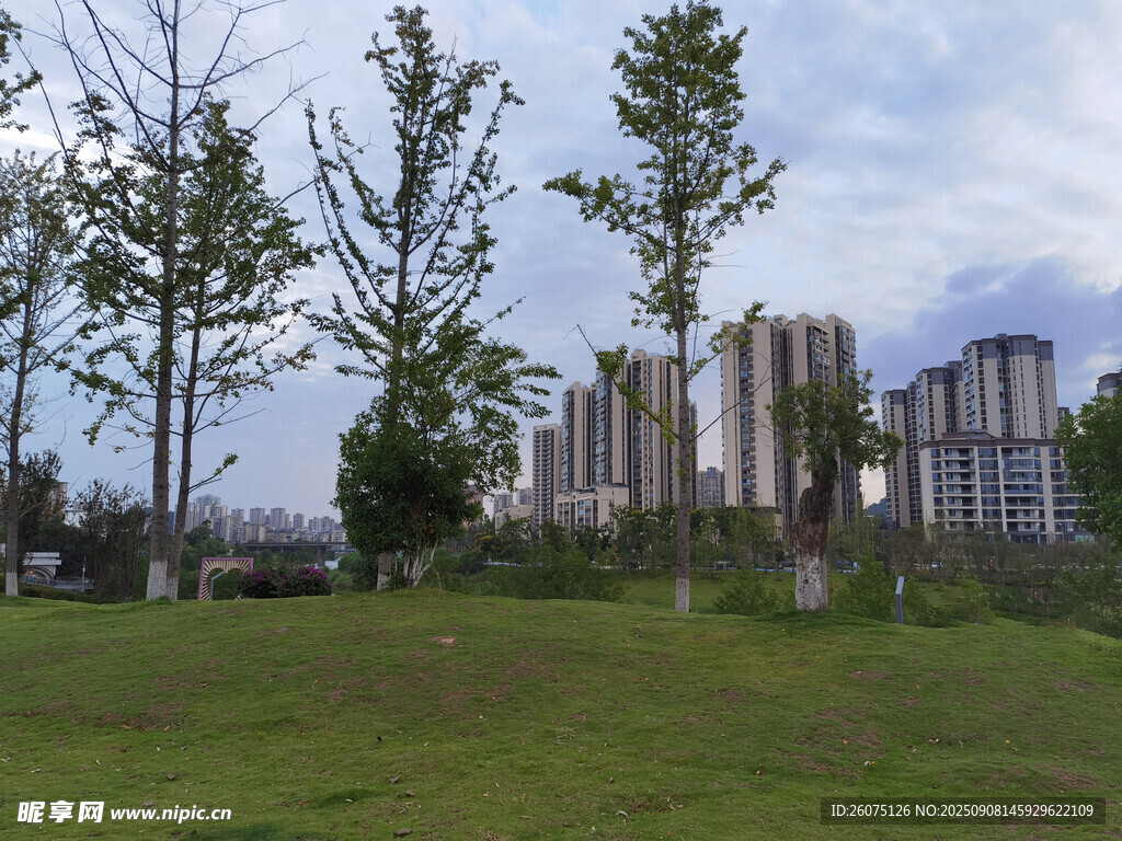城市綠地中的樹(shù)木與建筑