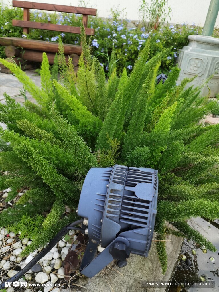 戶外綠植旁的黑色燈光設(shè)備