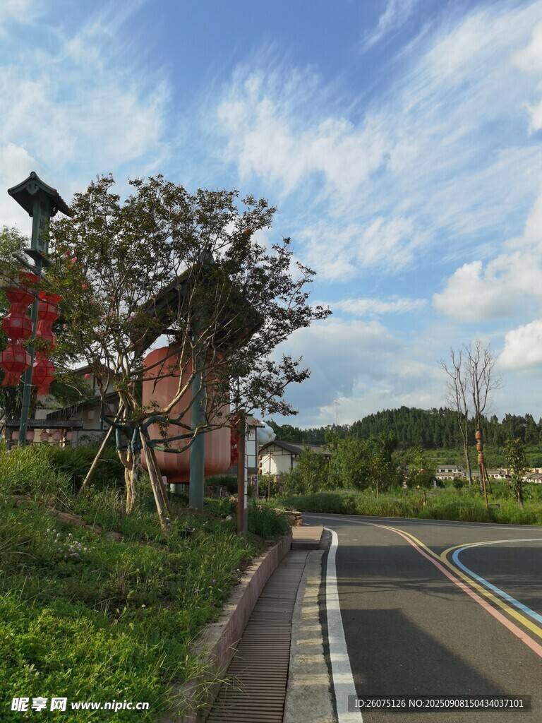 郊外公路旁的自然景致