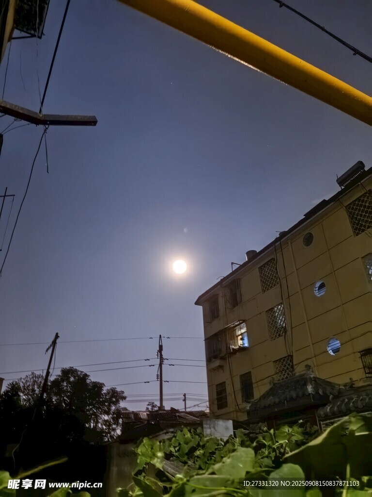 月夜下的建筑與綠植