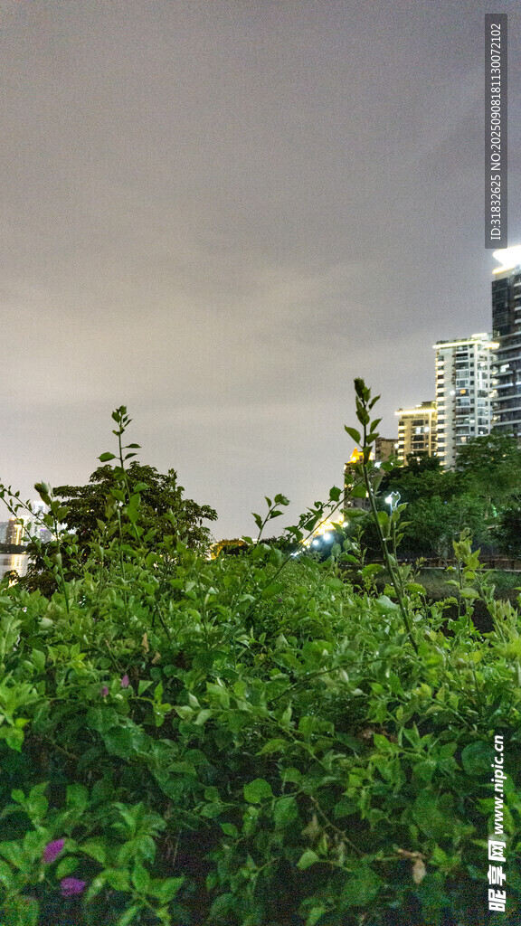 城市邊緣的綠植景觀