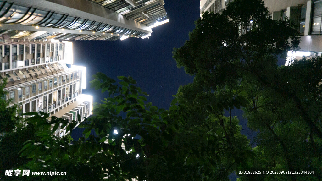 夜幕下的高樓與繁茂綠植