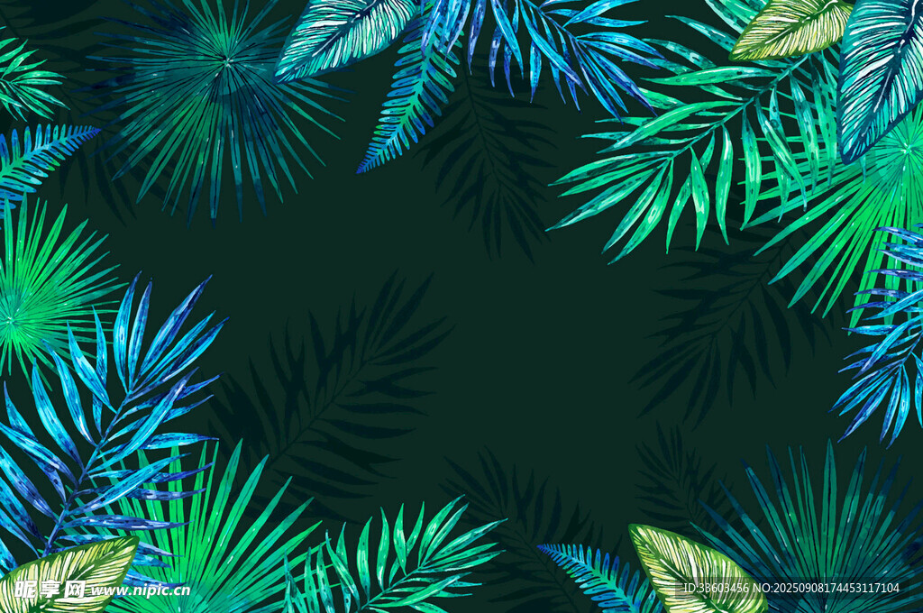 熱帶植物邊框背景圖