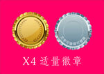 金色徽章 銀色徽章