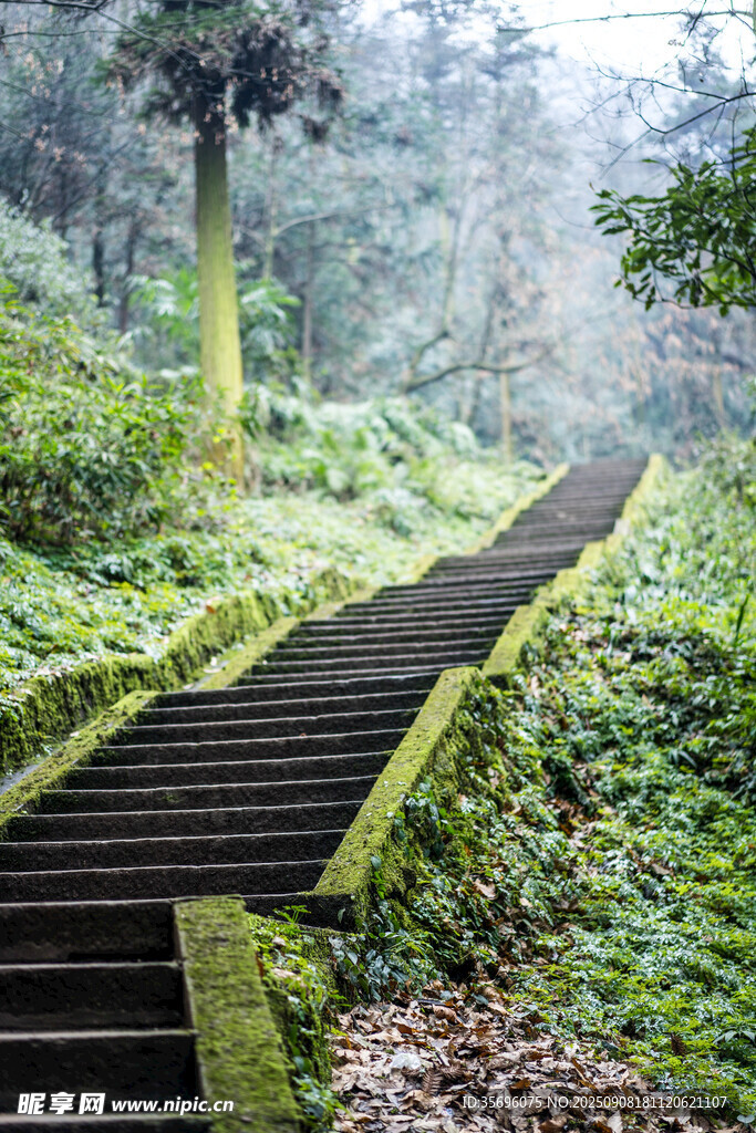 峨眉山山路臺階