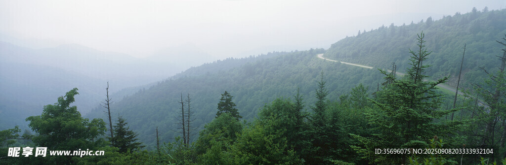 山林迷霧間的蔥郁景致