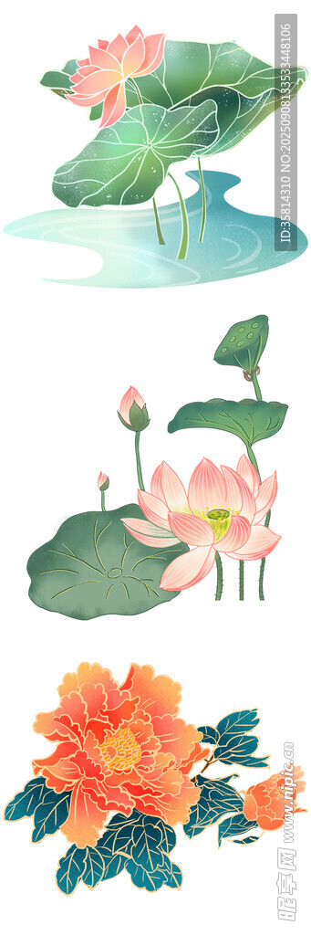 水墨風荷花花卉插畫