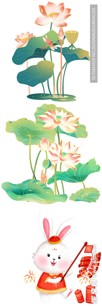 荷塘白兔圖