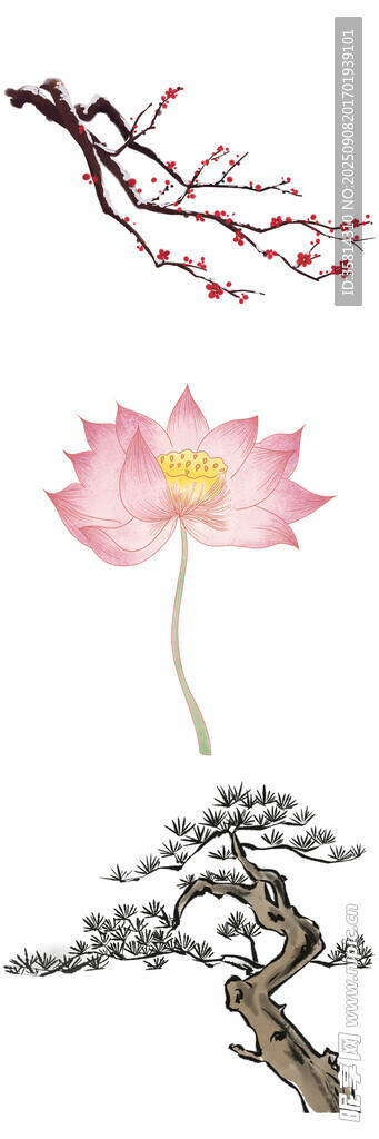 中式花卉樹木組合插畫