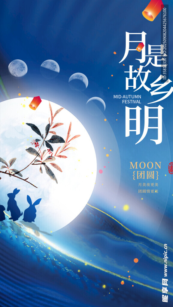 月夜飛鳥伴明月美景