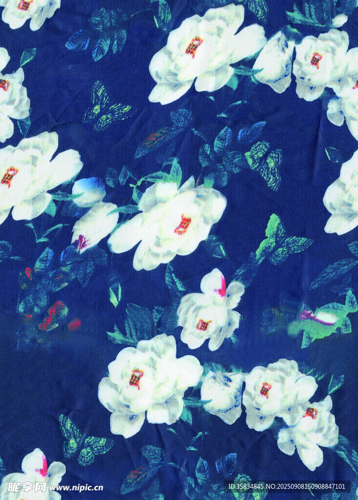 深藍(lán) 白色 花卉