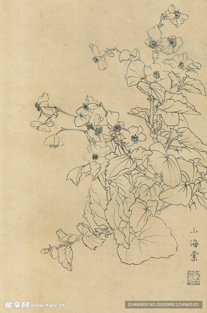 山海棠