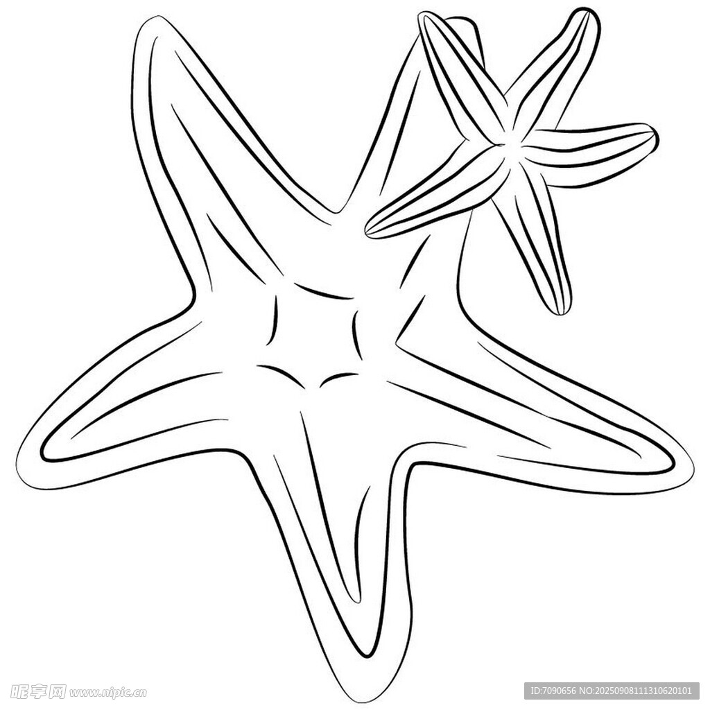 簡約海星線條插畫