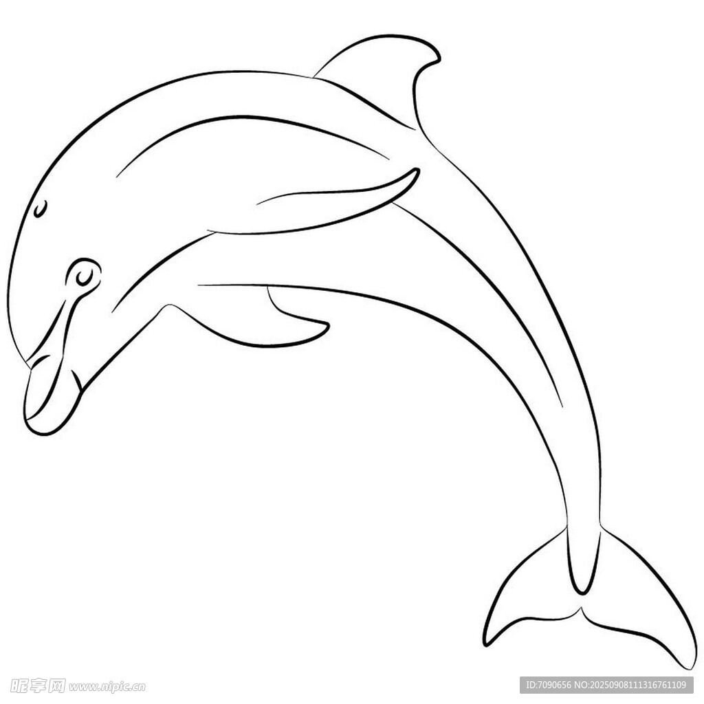 躍起的海豚線條插畫