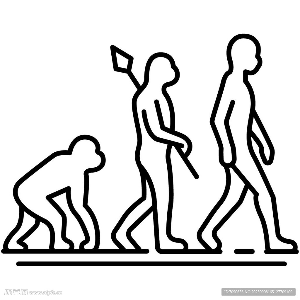 人類進(jìn)化圖示