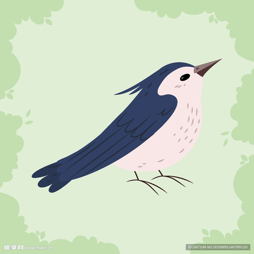 藍(lán)白小鳥插畫