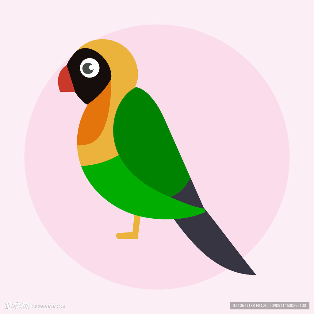 彩色鸚鵡插畫