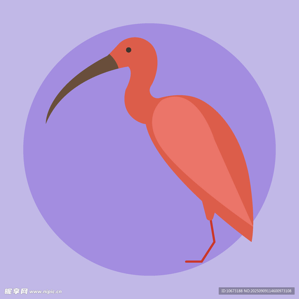 粉紅色長喙鳥插畫