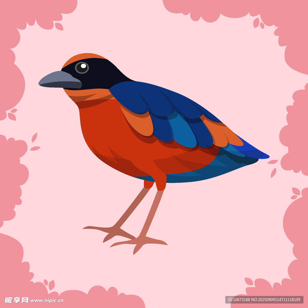 彩色小鳥插畫