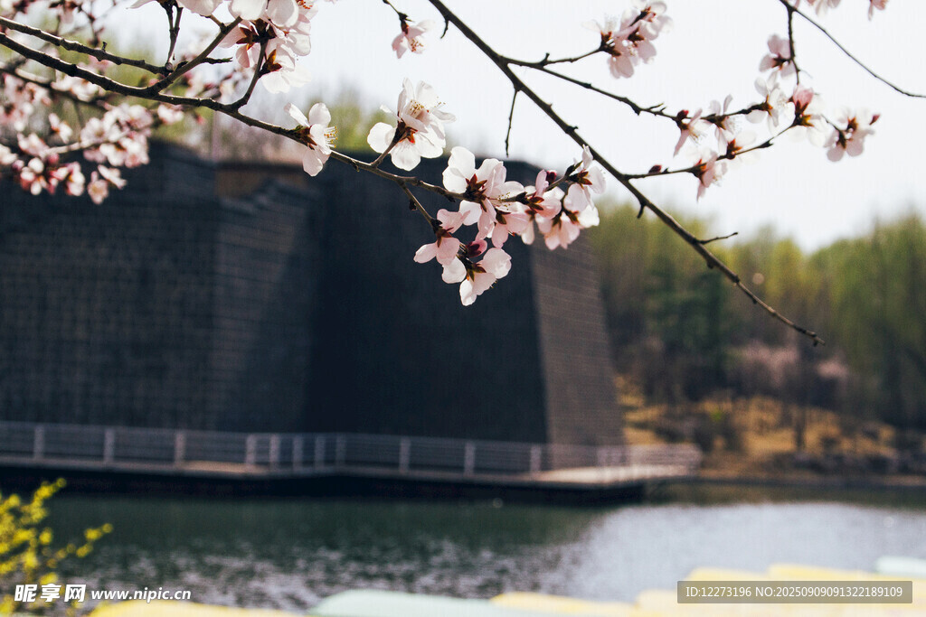 湖畔繁花映古建筑