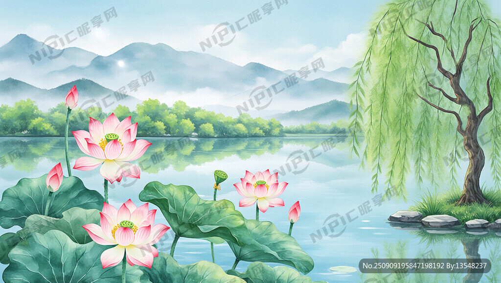 荷花        柳樹   