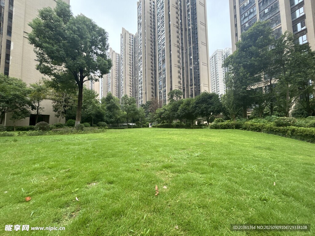 城市中的翠綠草坪景觀