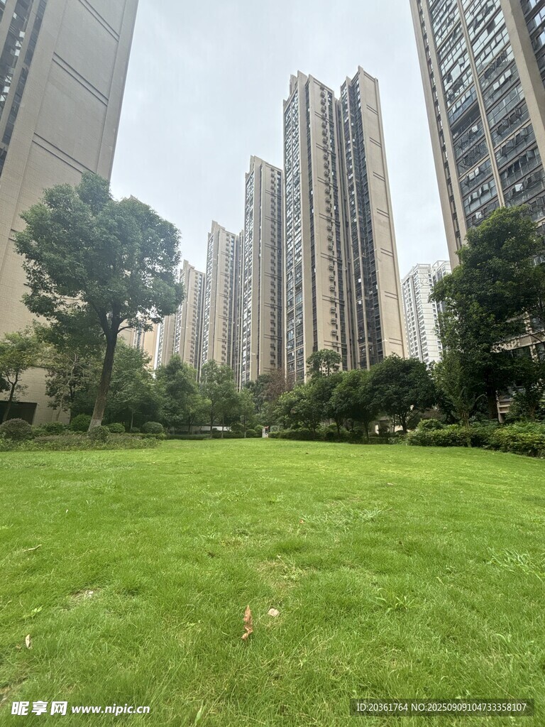 城市中的翠綠草坪與高樓