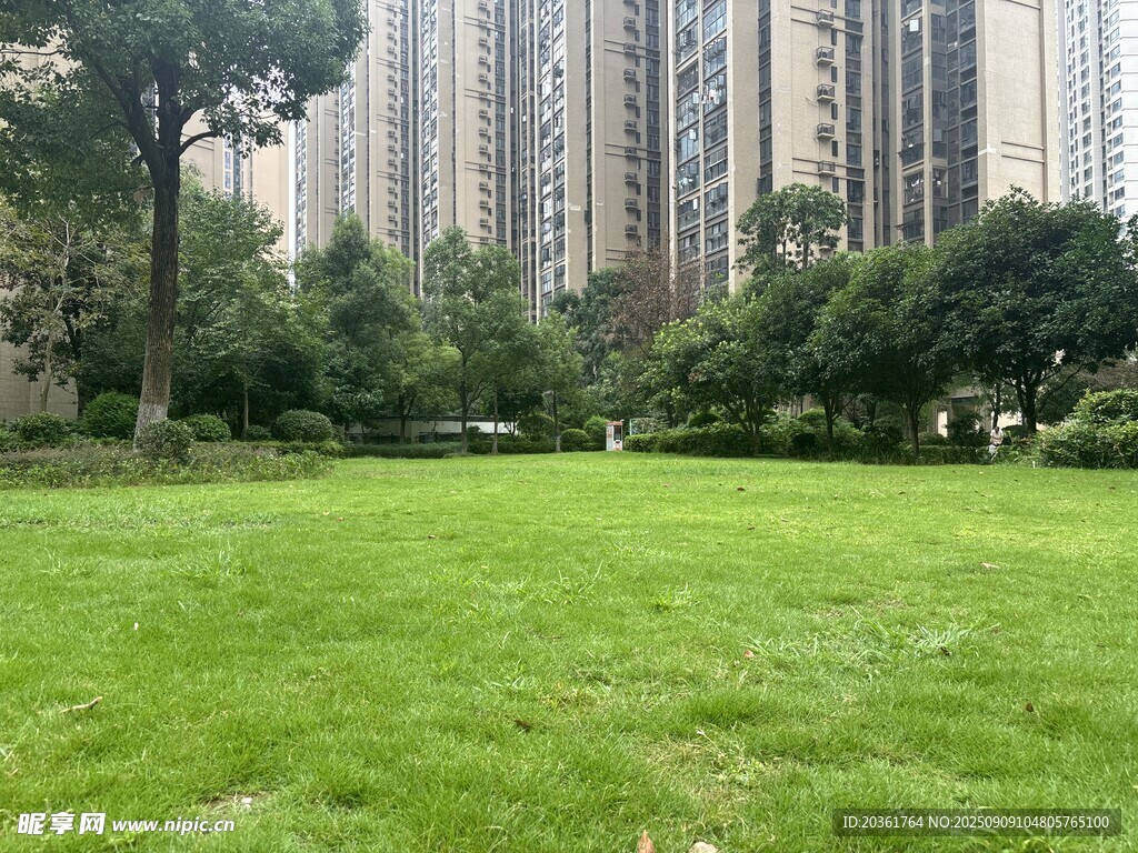 城市中的翠綠草坪景觀
