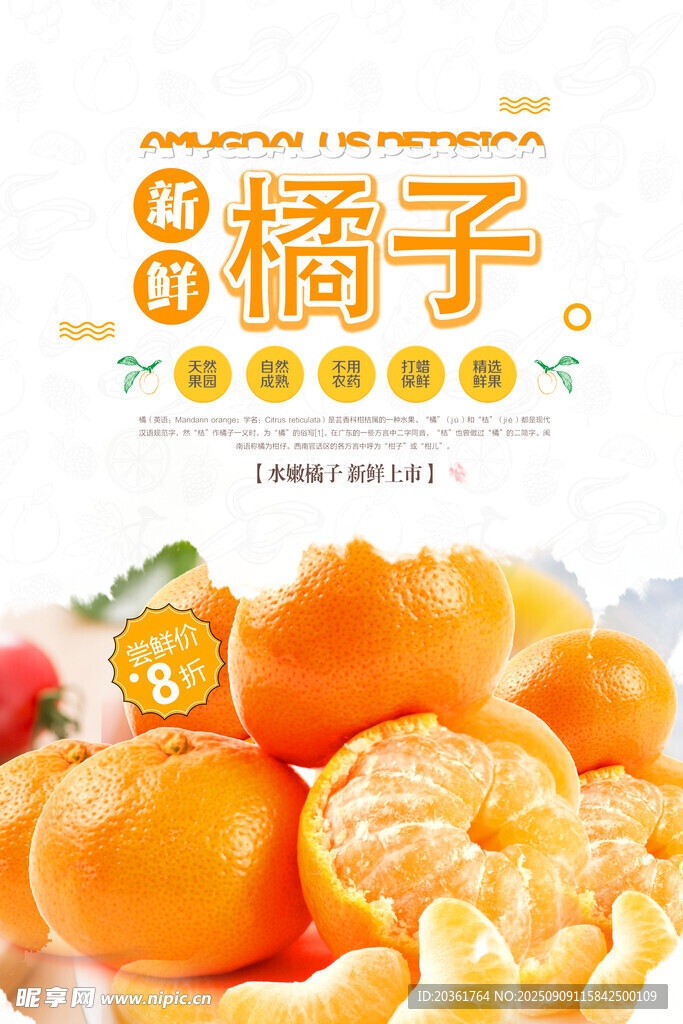 橘子海報