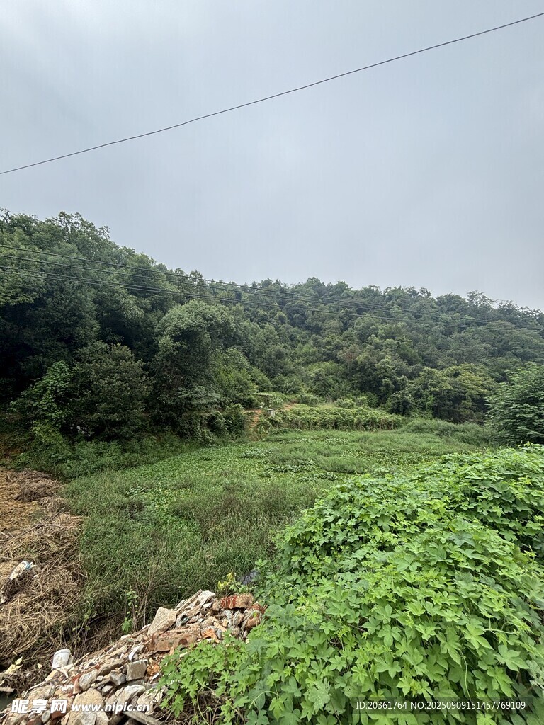 綠意盎然的山野風光