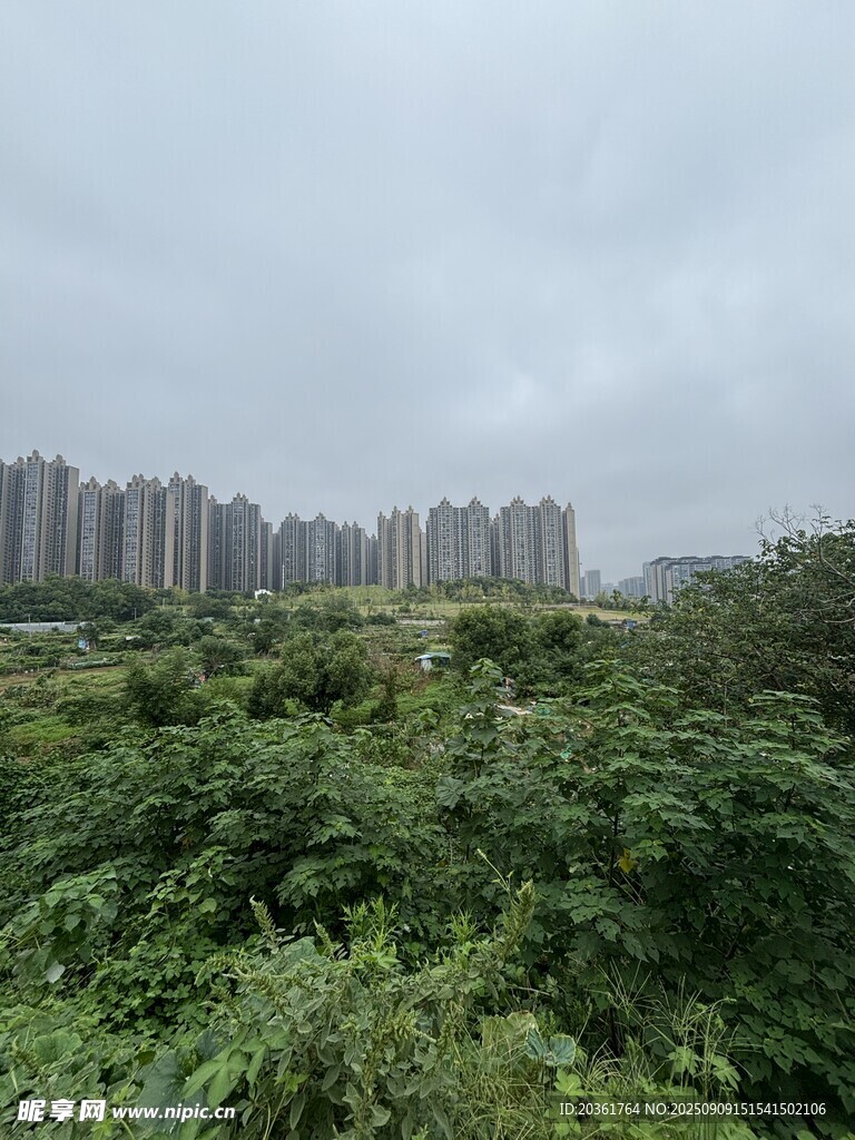 城市邊緣的蔥郁綠植景觀