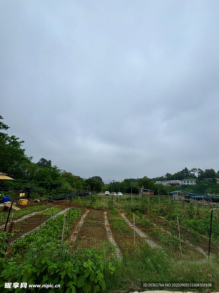 田園菜園風(fēng)光