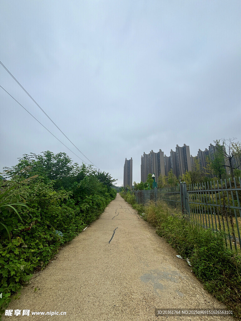 鄉(xiāng)間小徑旁的城市高樓