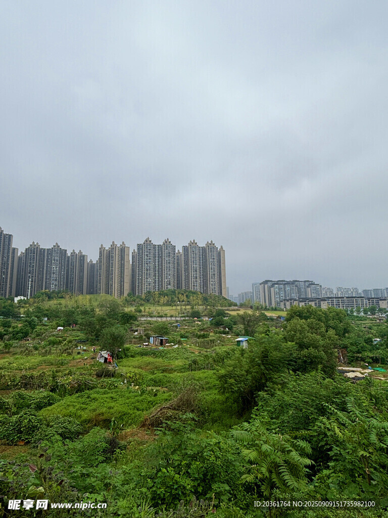 城市邊緣的綠植與高樓景觀