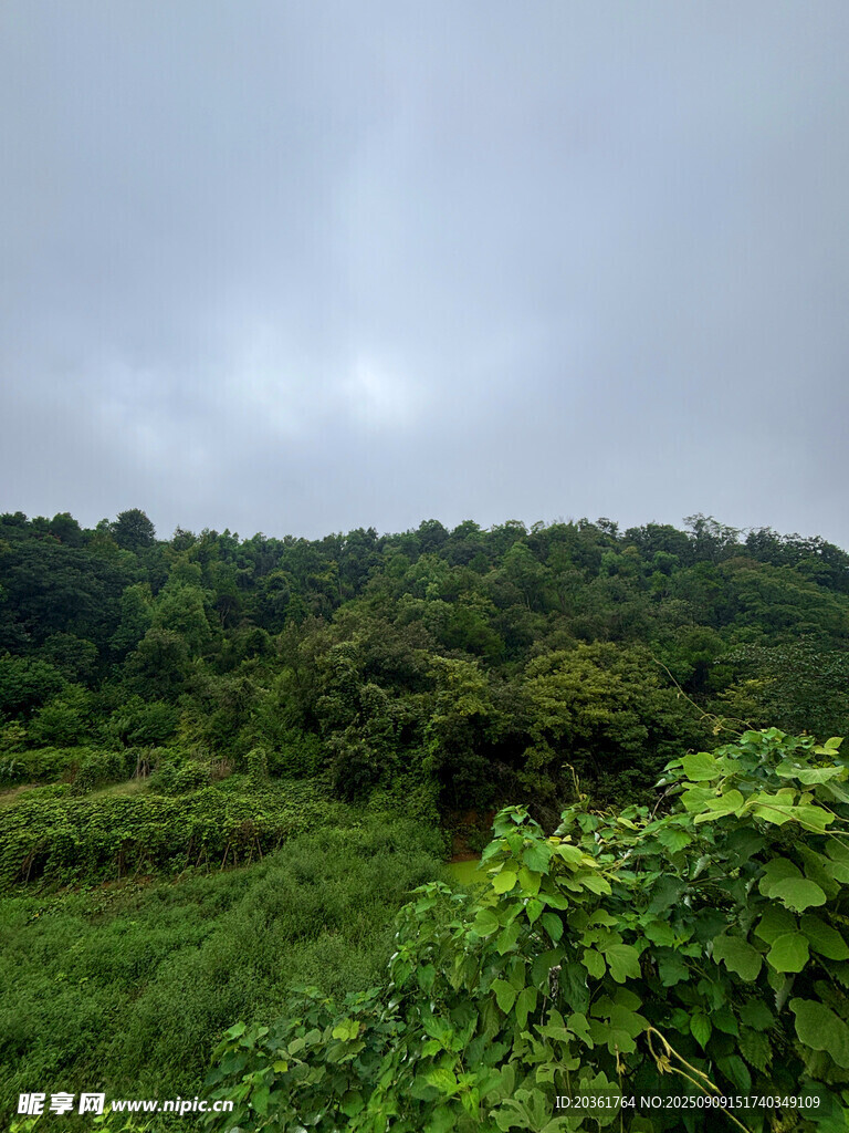綠意盎然的山野風光