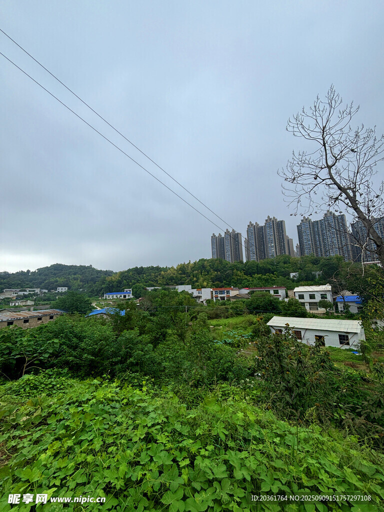 城市邊緣的綠植與高樓景觀