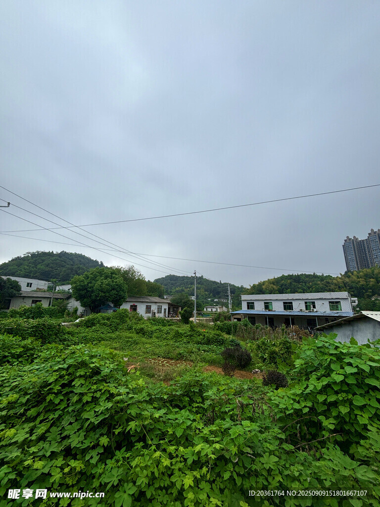 綠意盎然的戶外田園景致