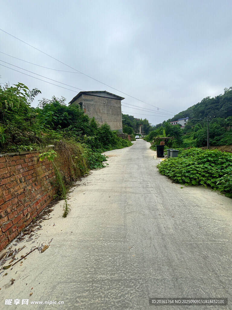 鄉(xiāng)村水泥路旁的綠植與建筑